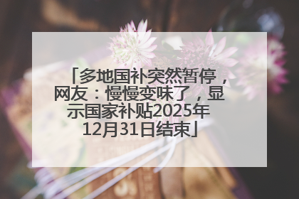 多地国补突然暂停，网友：慢慢变味了，显示国家补贴2025年12月31日结束